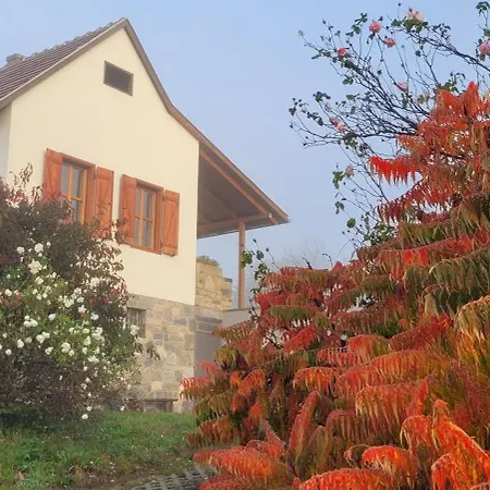 Haz Kilatassal Villa Zalaszanto Exterior photo