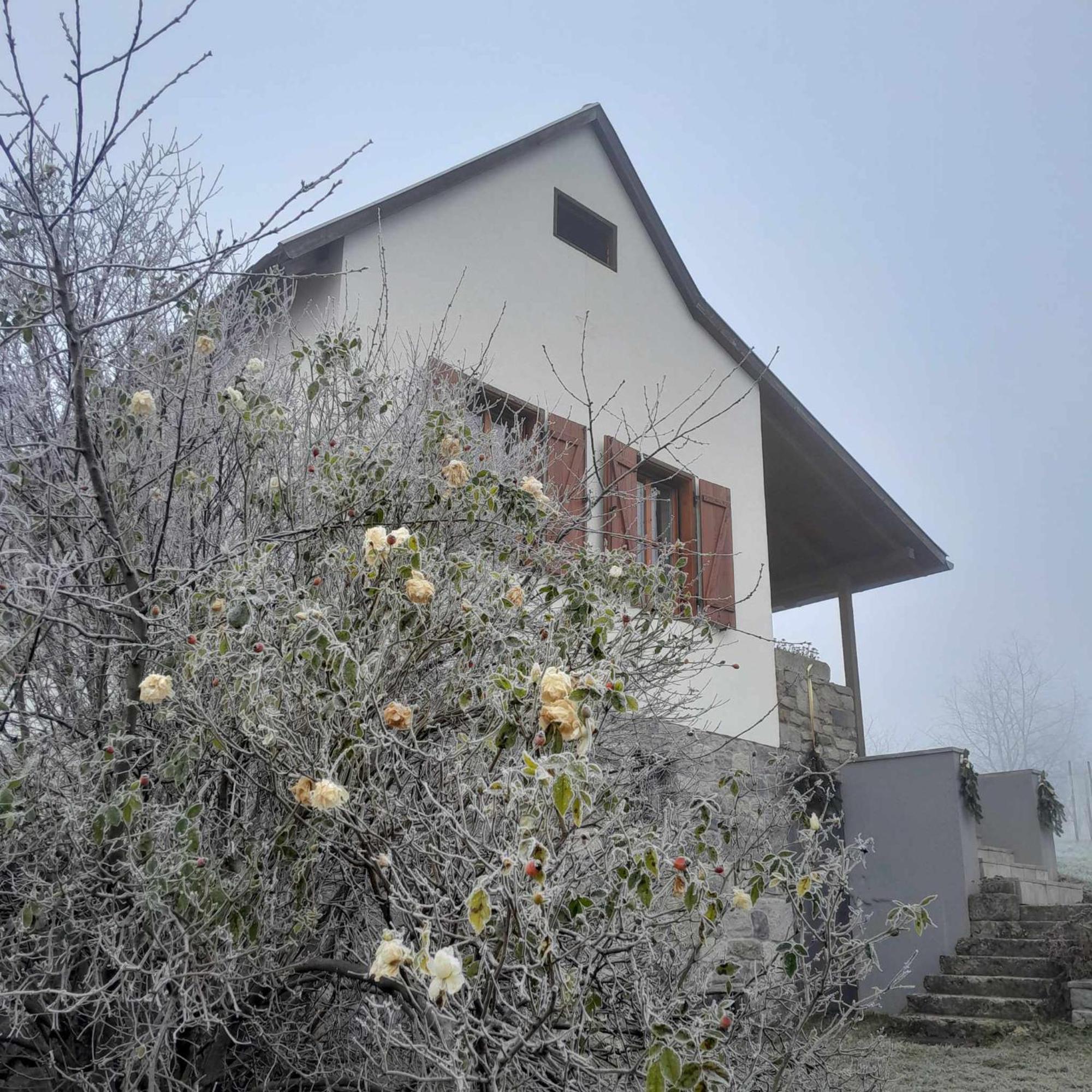 Haz Kilatassal Ferienhaus *